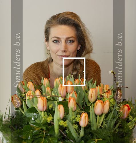 Aalsmeer 4 februari 2021
Inge de Bruijn Manon Nummerdor Flier en Jorrit Kroon dopen de Heroes tulp.
