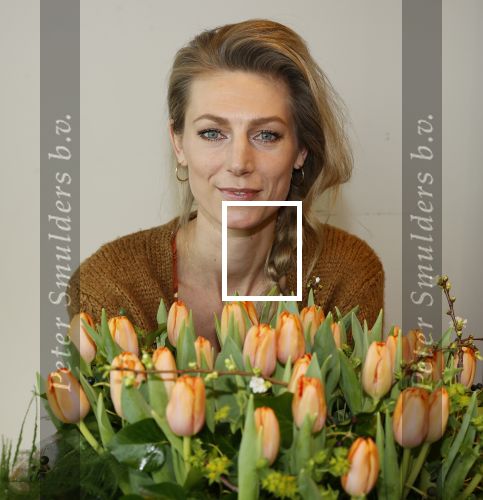 Aalsmeer 4 februari 2021
Inge de Bruijn Manon Nummerdor Flier en Jorrit Kroon dopen de Heroes tulp.