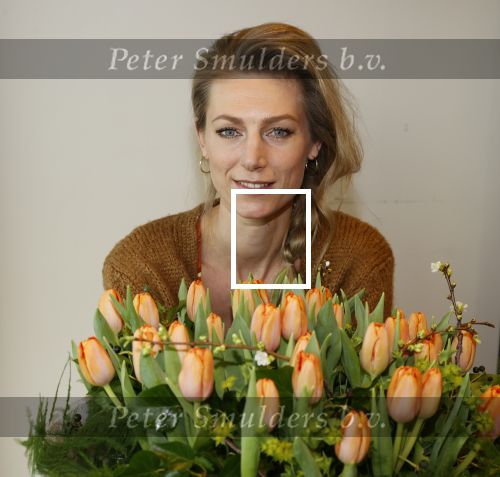 Aalsmeer 4 februari 2021
Inge de Bruijn Manon Nummerdor Flier en Jorrit Kroon dopen de Heroes tulp.