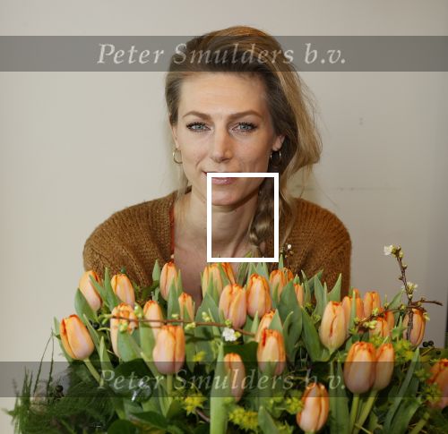 Aalsmeer 4 februari 2021
Inge de Bruijn Manon Nummerdor Flier en Jorrit Kroon dopen de Heroes tulp.