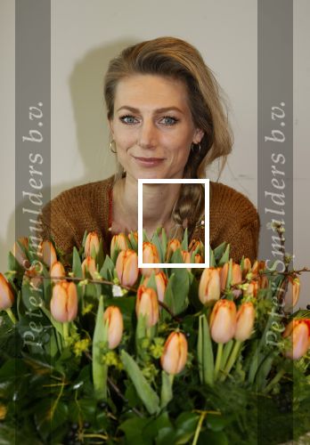Aalsmeer 4 februari 2021
Inge de Bruijn Manon Nummerdor Flier en Jorrit Kroon dopen de Heroes tulp.