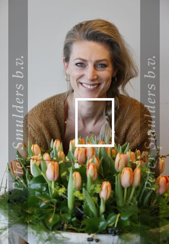 Aalsmeer 4 februari 2021
Inge de Bruijn Manon Nummerdor Flier en Jorrit Kroon dopen de Heroes tulp.