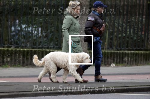 Amsterdam 11 januari 2021
Yvon Jaspers en haar hond met Marc Marie Huijbregts in het vondelpark.