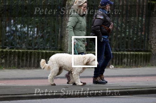 Amsterdam 11 januari 2021
Yvon Jaspers en haar hond met Marc Marie Huijbregts in het vondelpark.