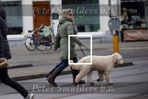 Amsterdam 11 januari 2021
Yvon Jaspers en haar hond met Marc Marie Huijbregts in het vondelpark.