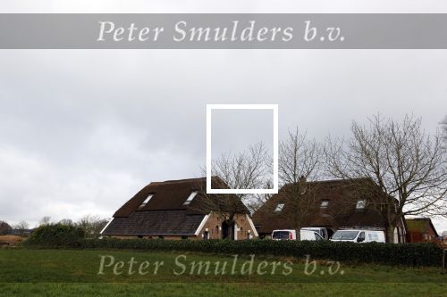 Epse 8 januari 2021
Nieuwe huis Mc Snelle