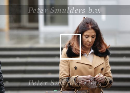 Utrecht 2 februari 2021
Rechtszaak Rachel Hazes tegen haar oude PA Marieke v Beek . Royce de Vries is de advocaat van Rachel. Marieke heeft advocaat Bernhard Tomlow. Ricardo Klaverdijk Big Willem v Boxtel en Jacqueline v d Gijp waren aanwezig.