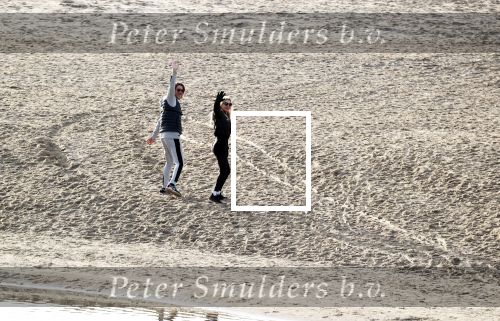 Schoorl 2 januari 2020Sonja Bakker en barry v Suijdam met hun hond op het strand.