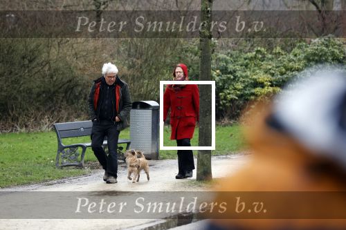 Amsterdam 5 februari 2021
Theodor Holman met partner en hond in het vondelpark