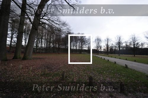 De Steeg 12 januari 2021
Landgoed Middachten in de Steeg. Ursul de Geer is hier voor een gedeelte eigenaar van