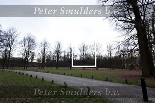 De Steeg 12 januari 2021
Landgoed Middachten in de Steeg. Ursul de Geer is hier voor een gedeelte eigenaar van