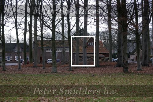De Steeg 12 januari 2021
Landgoed Middachten in de Steeg. Ursul de Geer is hier voor een gedeelte eigenaar van