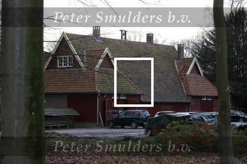 De Steeg 12 januari 2021
Landgoed Middachten in de Steeg. Ursul de Geer is hier voor een gedeelte eigenaar van