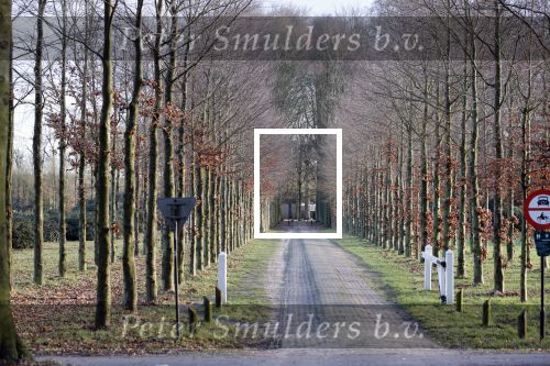 De Steeg 12 januari 2021
Landgoed Middachten in de Steeg. Ursul de Geer is hier voor een gedeelte eigenaar van