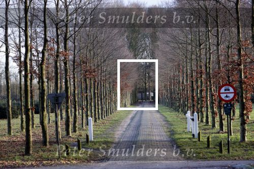 De Steeg 12 januari 2021
Landgoed Middachten in de Steeg. Ursul de Geer is hier voor een gedeelte eigenaar van