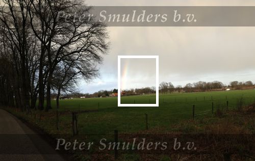 Rhenen 12 januari 2021
Ursul de Geer heeft in Rhenen ook een stuk grond