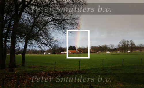 Rhenen 12 januari 2021
Ursul de Geer heeft in Rhenen ook een stuk grond