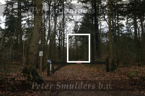 Rhenen 12 januari 2021
Ursul de Geer heeft in Rhenen ook een stuk grond
