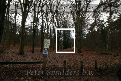 Rhenen 12 januari 2021
Ursul de Geer heeft in Rhenen ook een stuk grond