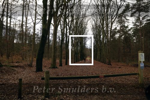 Rhenen 12 januari 2021
Ursul de Geer heeft in Rhenen ook een stuk grond
