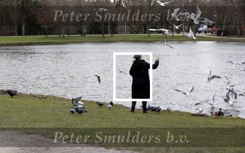 Amsterdam 21 januari 2021
Een dame geeft de vogels te eten in het vondelpark