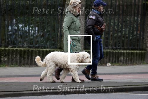 Amsterdam 11 januari 2021
Yvon Jaspers en haar hond met Marc Marie Huijbregts in het vondelpark.