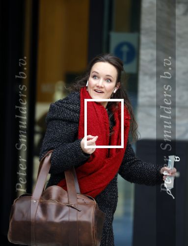 Amsterdam 21 januari 2021
Rechtszaak Manuel Broekman en zijn vermeend slachtoffer in de Rechtbank van Amsterdam. Advocate Nicole Hoogenveen