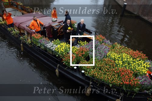 Amsterdam 15 januari 2021
Andre v Duin doopt zijn tulp in de westertoren en gaat daarna op een grote boot tulpen uitdelen op de grachten van Amsterdam.
