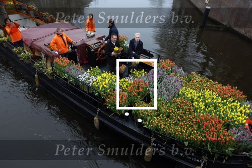 Amsterdam 15 januari 2021
Andre v Duin doopt zijn tulp in de westertoren en gaat daarna op een grote boot tulpen uitdelen op de grachten van Amsterdam.