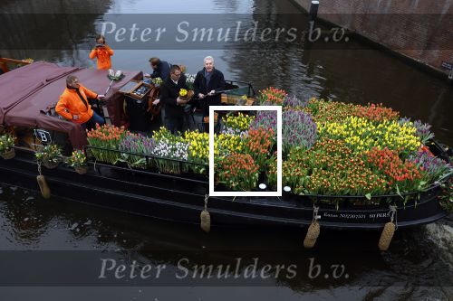 Amsterdam 15 januari 2021
Andre v Duin doopt zijn tulp in de westertoren en gaat daarna op een grote boot tulpen uitdelen op de grachten van Amsterdam.