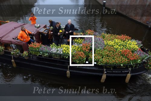 Amsterdam 15 januari 2021
Andre v Duin doopt zijn tulp in de westertoren en gaat daarna op een grote boot tulpen uitdelen op de grachten van Amsterdam.