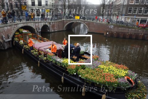 Amsterdam 15 januari 2021
Andre v Duin doopt zijn tulp in de westertoren en gaat daarna op een grote boot tulpen uitdelen op de grachten van Amsterdam.