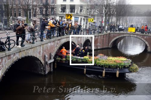 Amsterdam 15 januari 2021
Andre v Duin doopt zijn tulp in de westertoren en gaat daarna op een grote boot tulpen uitdelen op de grachten van Amsterdam.