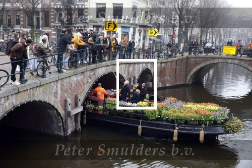 Amsterdam 15 januari 2021
Andre v Duin doopt zijn tulp in de westertoren en gaat daarna op een grote boot tulpen uitdelen op de grachten van Amsterdam.
