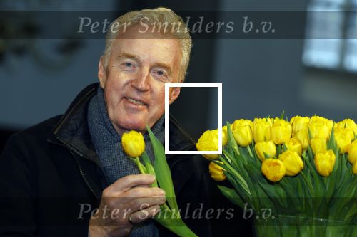 Amsterdam 15 januari 2021
Andre v Duin doopt zijn tulp in de westertoren en gaat daarna op een grote boot tulpen uitdelen op de grachten van Amsterdam.