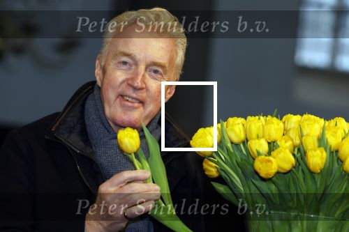 Amsterdam 15 januari 2021
Andre v Duin doopt zijn tulp in de westertoren en gaat daarna op een grote boot tulpen uitdelen op de grachten van Amsterdam.