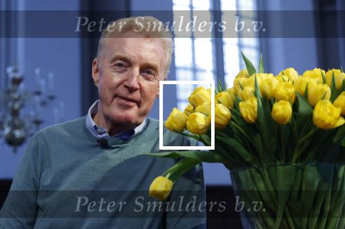 Amsterdam 15 januari 2021
Andre v Duin doopt zijn tulp in de westertoren en gaat daarna op een grote boot tulpen uitdelen op de grachten van Amsterdam.