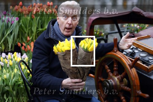 Amsterdam 15 januari 2021
Andre v Duin doopt zijn tulp in de westertoren en gaat daarna op een grote boot tulpen uitdelen op de grachten van Amsterdam.