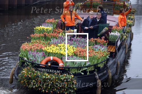 Amsterdam 15 januari 2021
Andre v Duin doopt zijn tulp in de westertoren en gaat daarna op een grote boot tulpen uitdelen op de grachten van Amsterdam.