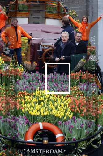 Amsterdam 15 januari 2021
Andre v Duin doopt zijn tulp in de westertoren en gaat daarna op een grote boot tulpen uitdelen op de grachten van Amsterdam.