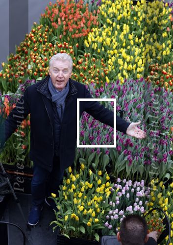 Amsterdam 15 januari 2021
Andre v Duin doopt zijn tulp in de westertoren en gaat daarna op een grote boot tulpen uitdelen op de grachten van Amsterdam.