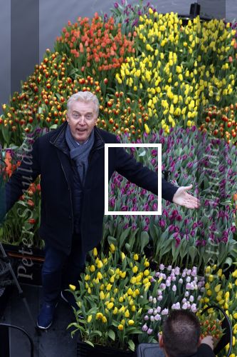 Amsterdam 15 januari 2021
Andre v Duin doopt zijn tulp in de westertoren en gaat daarna op een grote boot tulpen uitdelen op de grachten van Amsterdam.