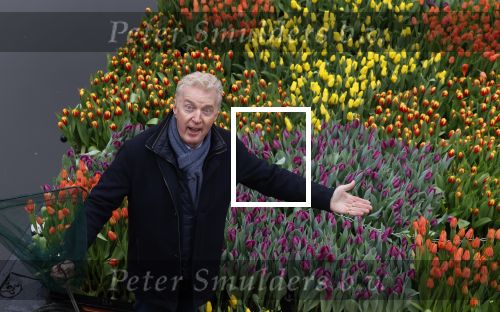Amsterdam 15 januari 2021
Andre v Duin doopt zijn tulp in de westertoren en gaat daarna op een grote boot tulpen uitdelen op de grachten van Amsterdam.