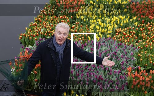 Amsterdam 15 januari 2021
Andre v Duin doopt zijn tulp in de westertoren en gaat daarna op een grote boot tulpen uitdelen op de grachten van Amsterdam.