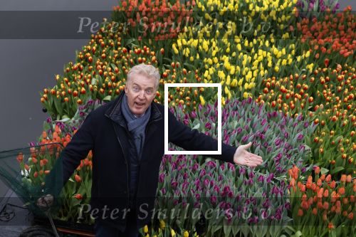 Amsterdam 15 januari 2021
Andre v Duin doopt zijn tulp in de westertoren en gaat daarna op een grote boot tulpen uitdelen op de grachten van Amsterdam.