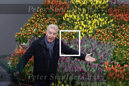 Amsterdam 15 januari 2021
Andre v Duin doopt zijn tulp in de westertoren en gaat daarna op een grote boot tulpen uitdelen op de grachten van Amsterdam.