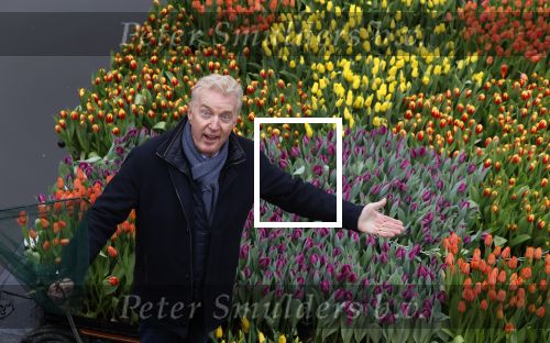 Amsterdam 15 januari 2021
Andre v Duin doopt zijn tulp in de westertoren en gaat daarna op een grote boot tulpen uitdelen op de grachten van Amsterdam.