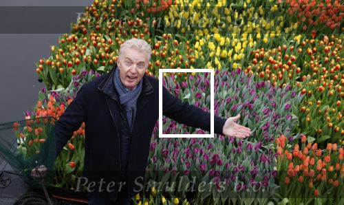 Amsterdam 15 januari 2021
Andre v Duin doopt zijn tulp in de westertoren en gaat daarna op een grote boot tulpen uitdelen op de grachten van Amsterdam.