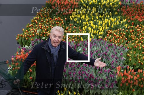 Amsterdam 15 januari 2021
Andre v Duin doopt zijn tulp in de westertoren en gaat daarna op een grote boot tulpen uitdelen op de grachten van Amsterdam.