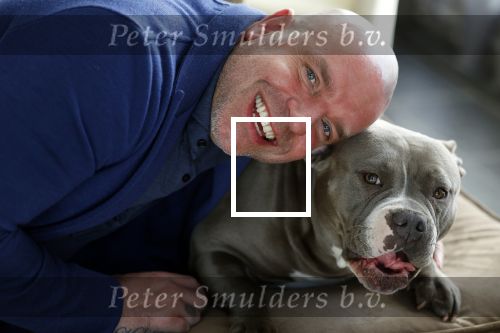 Apeldoorn 2 februari 2022
Andy v d Meyde op straat en met zijn hond